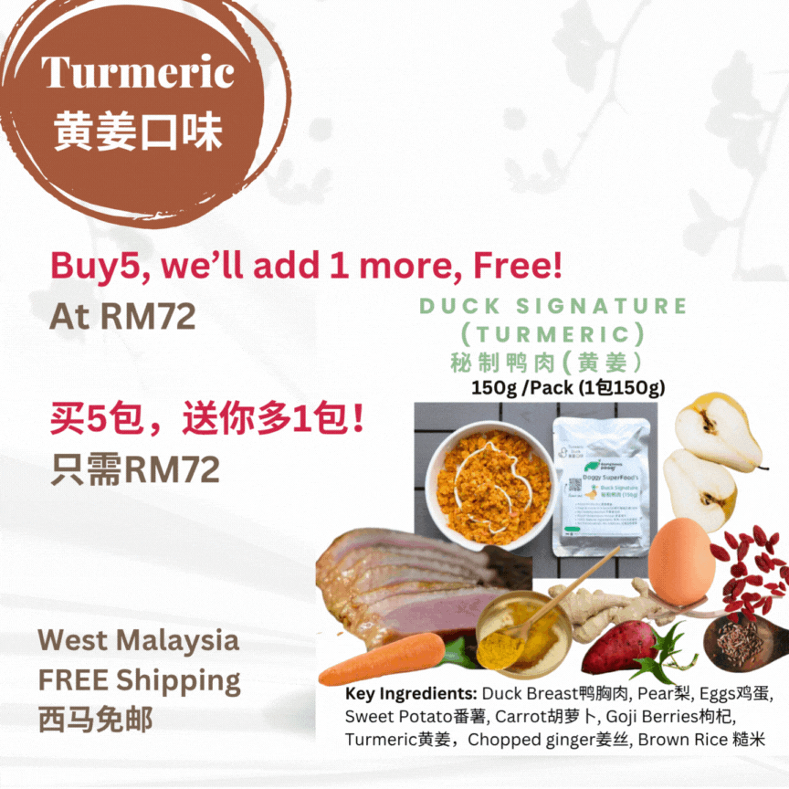 The Amazing Doggy SuperFood