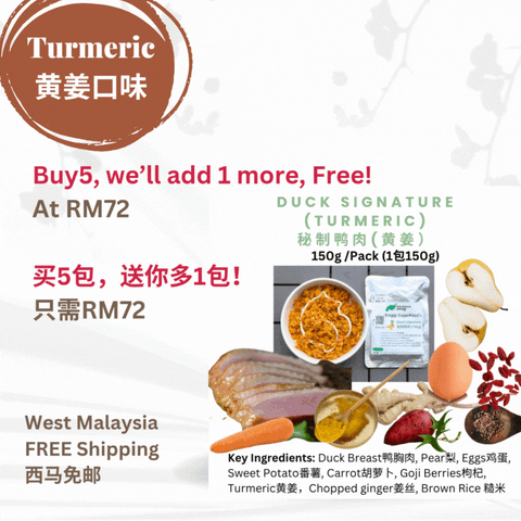 The Amazing Doggy SuperFood