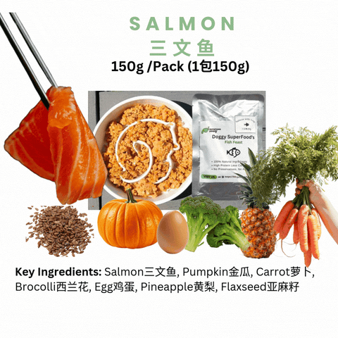 The Amazing Doggy SuperFood