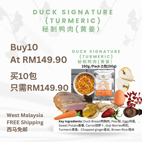 The Amazing Doggy SuperFood