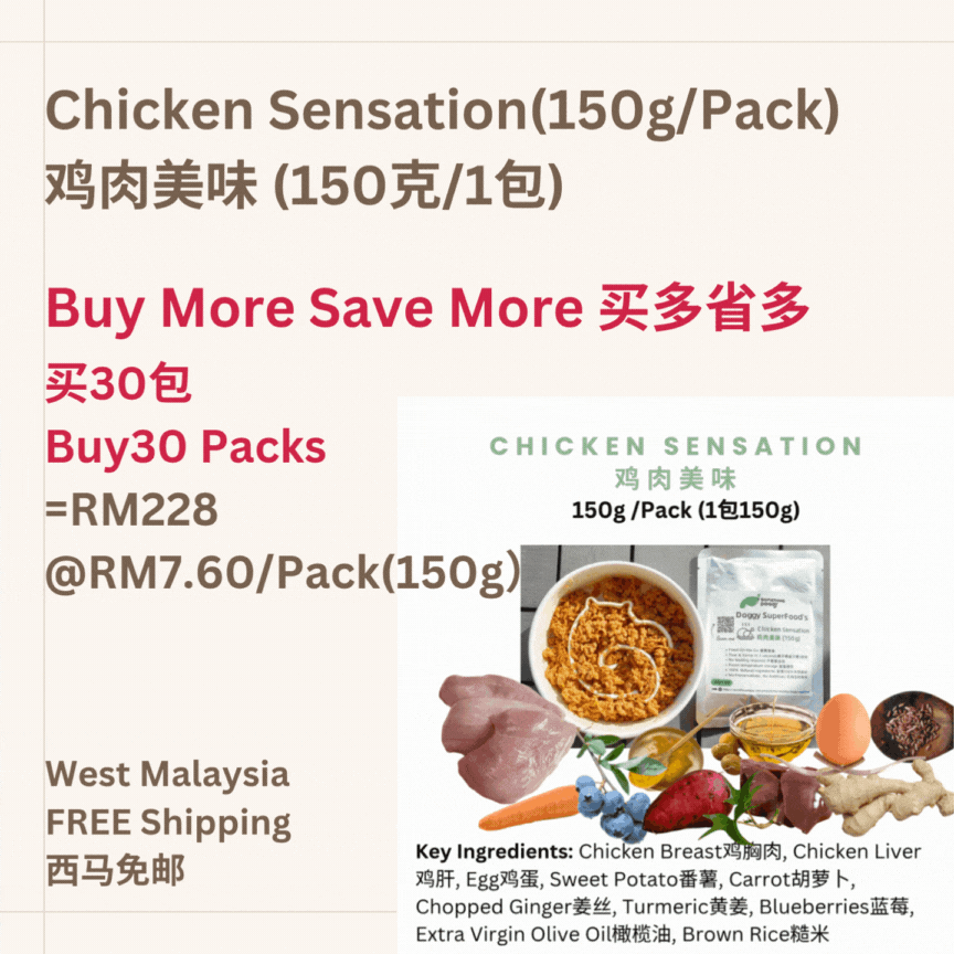 The Amazing Doggy SuperFood