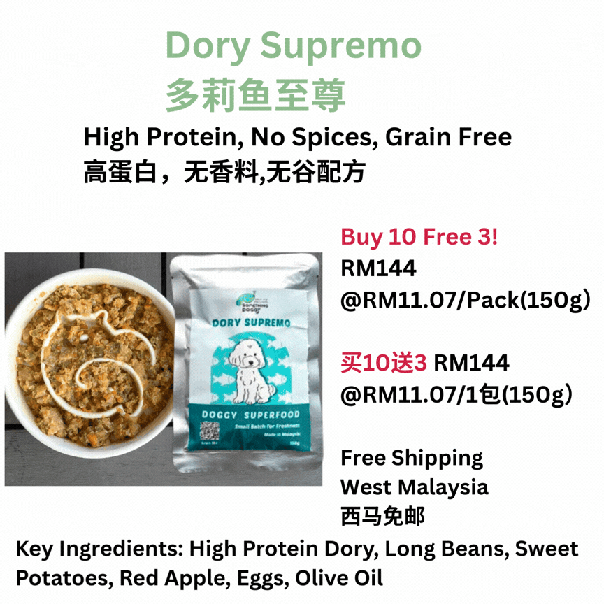 The Amazing Doggy SuperFood