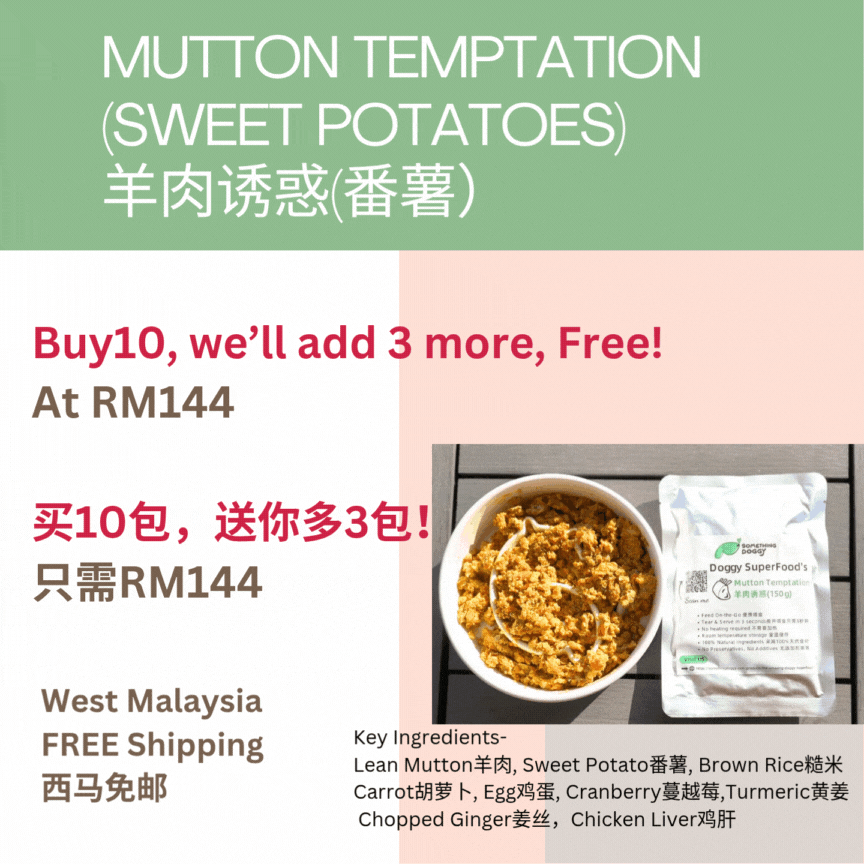 The Amazing Doggy SuperFood