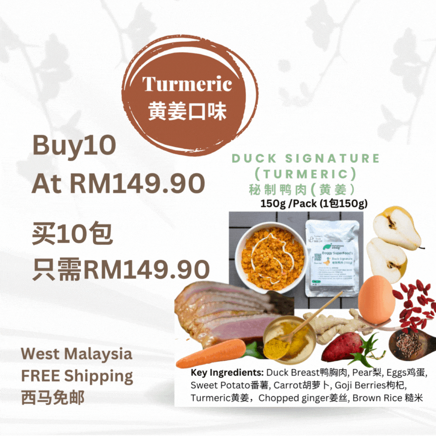 The Amazing Doggy SuperFood