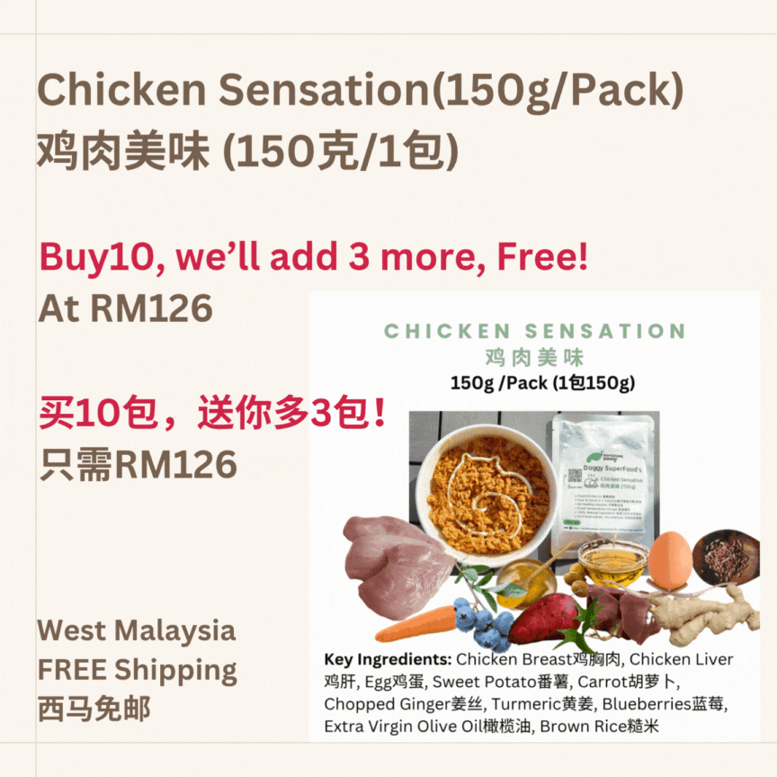 The Amazing Doggy SuperFood