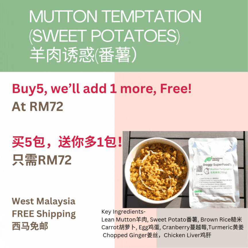 The Amazing Doggy SuperFood