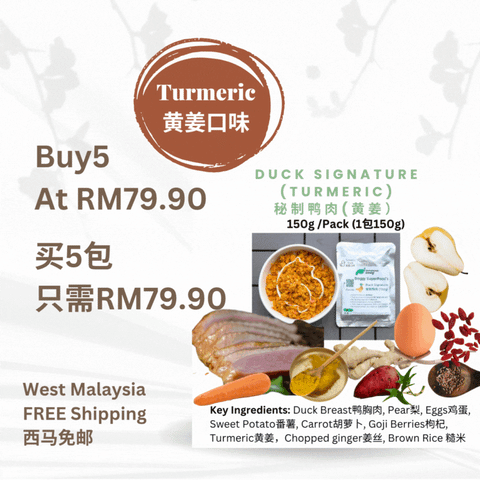 The Amazing Doggy SuperFood