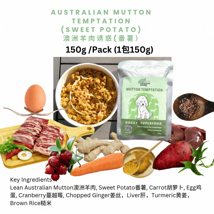 The Amazing Doggy SuperFood