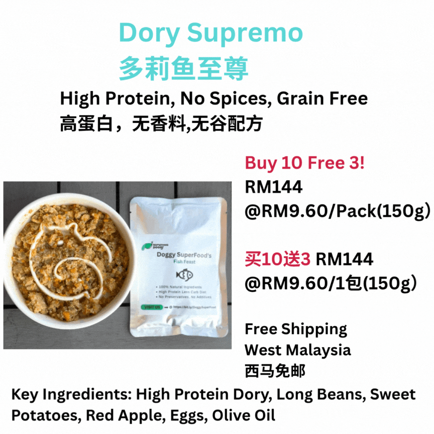 The Amazing Doggy SuperFood