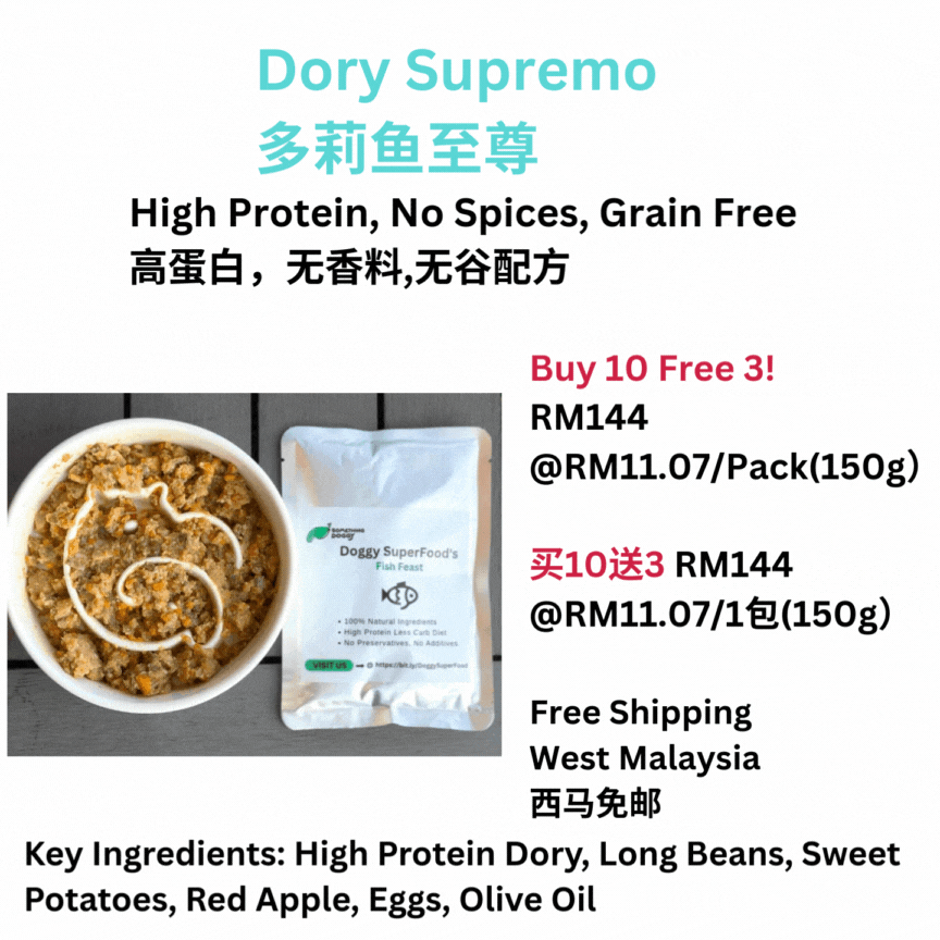 The Amazing Doggy SuperFood