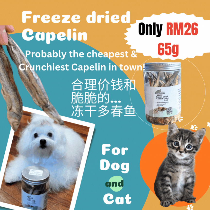 10%OFF-For Dog&Cat(65g)- Freeze Dried Capelin,猫狗皆可-冻干多春鱼(65克)